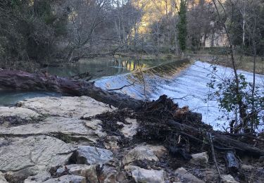 Trail On foot Correns - Correns - circuit-provence-verte-31 - Photo