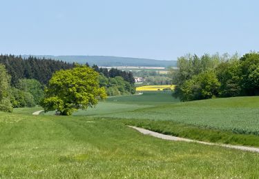 Trail Walking Ormoy-le-Davien - 030422 - Direction Vaucienne puis Vaumoise et Cave du diable - Photo