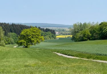 Randonnée Marche Ormoy-le-Davien - 030422 - Direction Vaucienne puis Vaumoise et Cave du diable - Photo