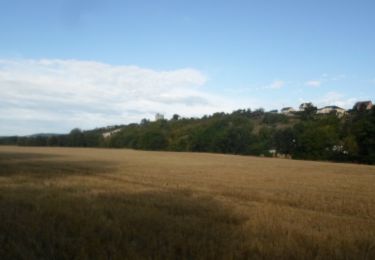Tour Wandern Freneuse - 20220906-Freneuse Cool  - Photo