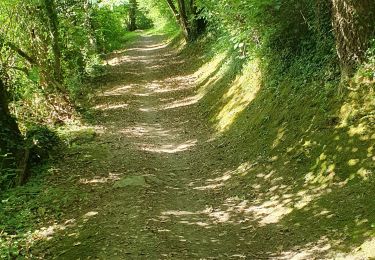 Tour Wandern Ayros-Arbouix - argeles-gasotz - Photo