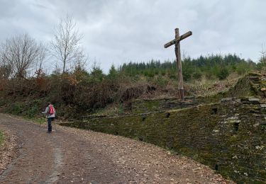 Randonnée Marche Bouillon - Noordelijke bossen Bouillon 15 km - Photo