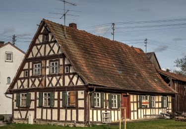 Tocht Te voet Zapfendorf - Mühlenweg - Photo