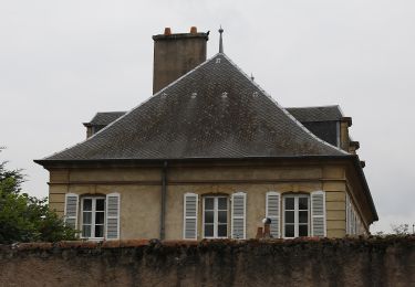 Tocht Te voet Thionville - Sentier des vignerons - Photo