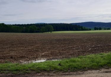 Tocht Stappen Saint-Étienne-du-Bois - Meillonnas, Jasseron - Photo