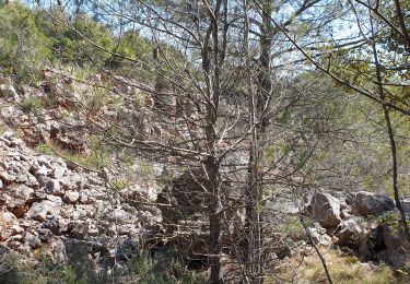 Excursión Senderismo La Celle - Les mines de bauxite de la Celle - Photo