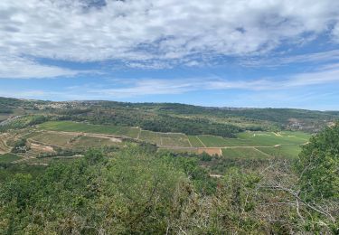 Trail Walking Auxey-Duresses - Camp des Celtes et sentier des Cabottes - Photo