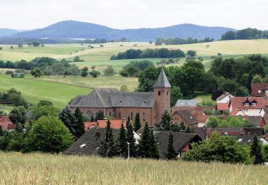 Trail On foot Geiselbach - Roter Schmetterling, Rundwanderweg Geiselbach - Photo