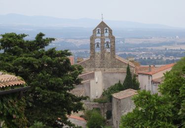 Randonnée A pied Avignonet-Lauragais - Les Collines du Vent - Photo