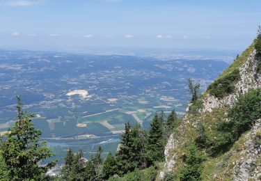 Percorso Marcia Autrans-Méaudre en Vercors - Pas de la clé et Bec de l'Orient  - Photo