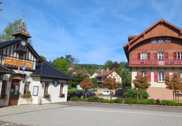 Percorso Marcia Le Hohwald - Hohwald - Rothlach - Neuntelstein - Photo