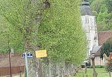 Tocht Stappen Amfreville-sur-Iton - 20240430 Amfreville sur Iton - Photo