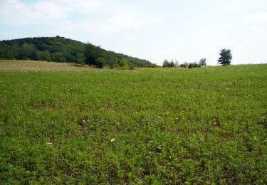 Tour Zu Fuß Szada - P▲ (Margita, geodéziai torony - Szada, Malomalja) - Photo