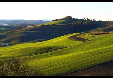 Randonnée A pied Pienza - Miniera - Photo