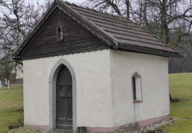 Tocht Te voet Freinberg - Kößlbachrunde - Photo