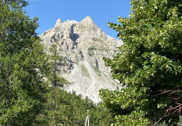Trail Walking Saint-Martin-d'Entraunes - J4-Pellens - Photo