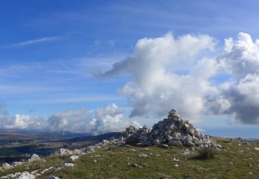 Percorso A piedi Saint-Vallier-de-Thiey - La Colle du Maçon  - Photo