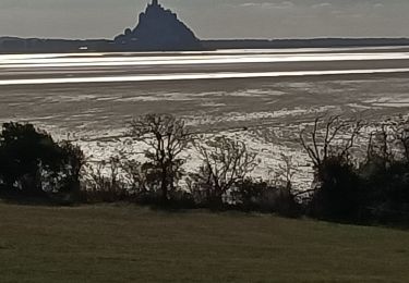 Tocht Stappen Vains - pointe du grouin du sud - Photo