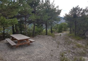 Tocht Stappen Le Sauze-du-Lac - Port St Pierre 09/08/2019 - Photo