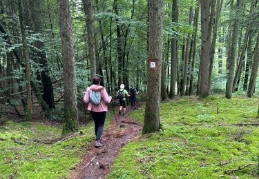 Excursión Marcha nórdica Habscht - Septfontaines - Photo