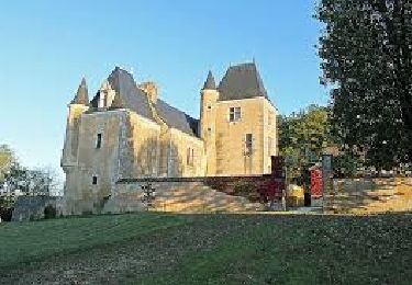 Randonnée Marche Coulaures - Boucle du Haut Paleyrac - Photo