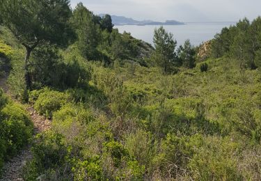 Randonnée Trail Ensuès-la-Redonne - cote bleue - Photo