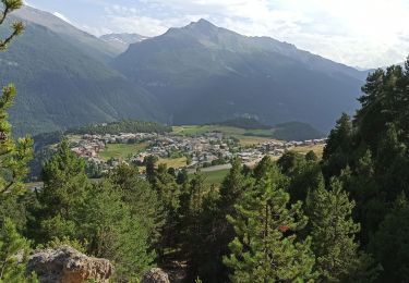 Trail Walking Aussois - 2021-07-24 Boucle Ruisseau St Pierre - Photo