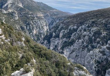 Tocht Stappen La Palud-sur-Verdon - Bastidon la palud  - Photo