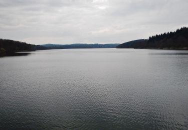 Percorso A piedi Möhnesee - Torhaus Rundweg A7 - Photo