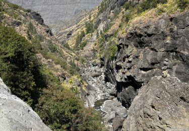 Trail sport La Possession - (J6)-Roche Plate - Marla (fait) - Photo