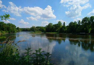 Percorso Marcia Berthenay - Berthenay - Sentier des deux Eaux - 16.3km 65m 4h00 - 2022 05 08 - Photo