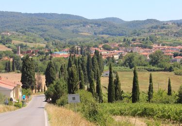 Trail On foot Scandicci - IT-738 - Photo