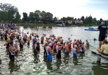 Tocht Te voet Gemeinde Hornstein - Seerunde - Photo