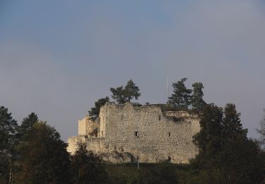 Tour Zu Fuß Birgland - Orchideenweg - Photo