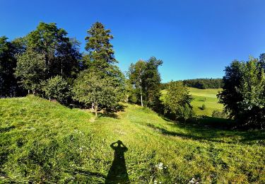 Excursión A pie Welschenrohr-Gänsbrunnen - Weissenstein – Passwang Weg - Photo