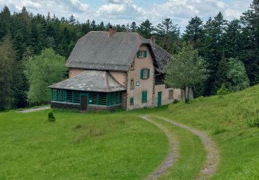 Tocht Stappen Walscheid - Elsassblick Baraque Carrée - Photo