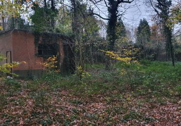 Percorso Marcia Braine-Le-Comte - le griffon du bois commun Hennuyères - Photo