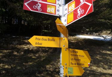 Tocht Noords wandelen Arbaz - Anzère  - Photo