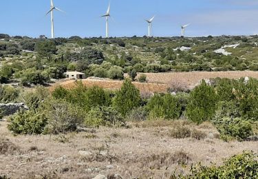 Randonnée Marche La Palme - la palme la jasse - Photo