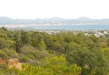 Trail Walking Roquebrune-sur-Argens - LES ISSAMBRES - LE VALLON DE LA GAILLARDE - Photo