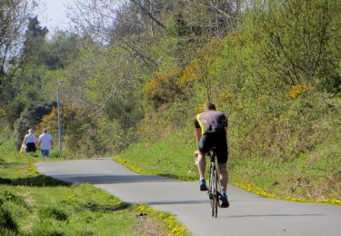 Percorso A piedi  - Comber Greenway - Photo