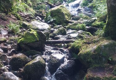 Randonnée Marche Xonrupt-Longemer - Gérardmer les 2 lacs - Photo