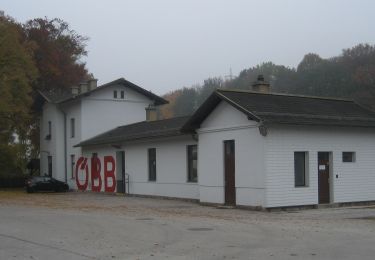 Randonnée A pied Gemeinde Pottenstein - Pottenstein (Bhf) - Fahrafeld (Hst) - Weißenbach - Photo