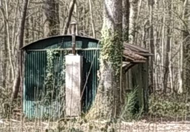 Randonnée Marche Vauchassis - Bois des Ferrieres - Photo