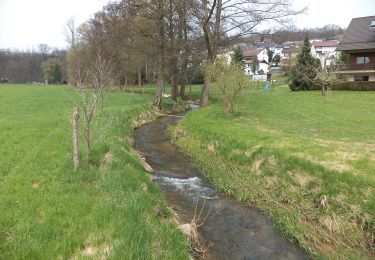 Tocht Te voet Sinntal - Altengronau - Rundweg am Grauberg - Tanne - Photo