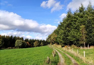 Excursión Senderismo Lierneux - Promenade vers la réserve naturelle de Colanhan (8km)  - Photo