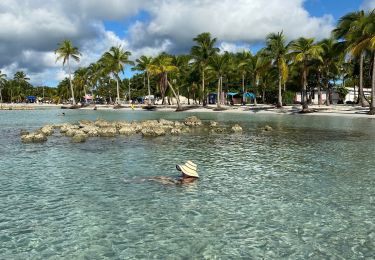 Tour Pfad Sainte-Anne - St Anne  - Photo