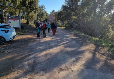 Trail Walking Fréjus - rando malpey - Photo