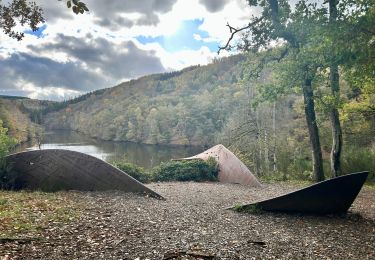 Tocht Te voet Houffalize - La promenade autour du Lac de Nisramont - Photo