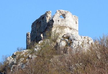 Tour Zu Fuß  - Popovdol - Plešivica - Photo